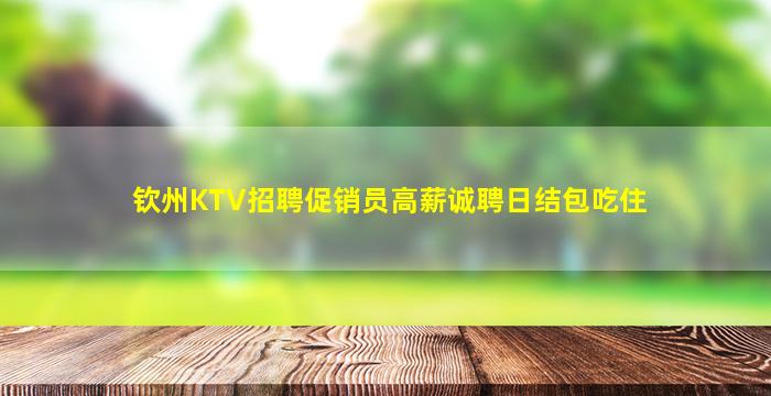 钦州KTV招聘促销员高薪诚聘日结包吃住